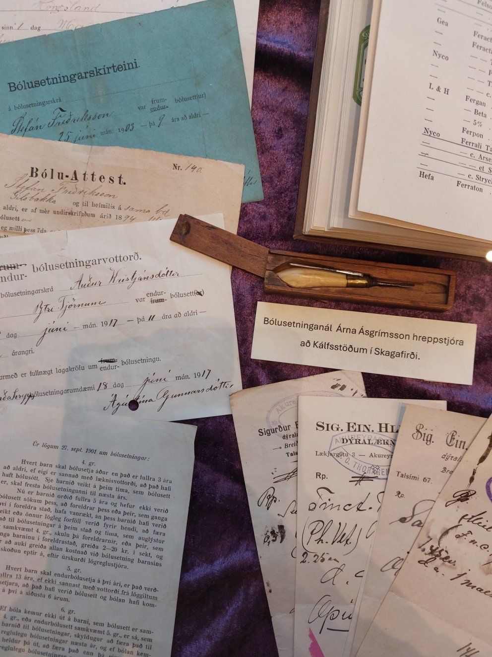 Sýning Héraðsskjalasafnsins fyrir norræna skjaladaginn 2024