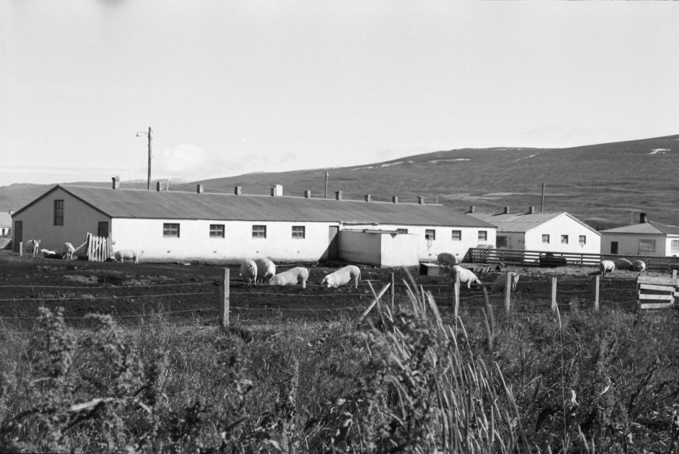Grísaból við Mýrarveg á Akureyri
Ljósm. Gunnlaugur P. Kristinsson. Minjasafnið á Akureyri