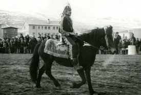 Að slá köttinn úr tunnunni