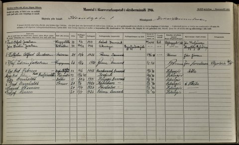 Fleiri manntöl nú á netinu