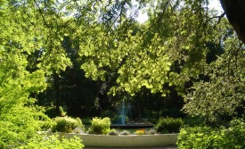 Lystigarður Akureyrar í júlí 2010