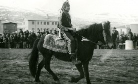 Að slá köttinn úr tunnunni